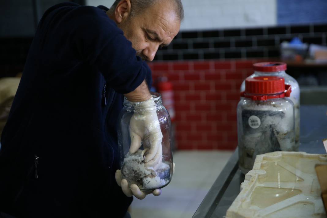 Palamudu 1500 liraya satıyorlar: Bu haliyle 1 yıl dayanıyor 3